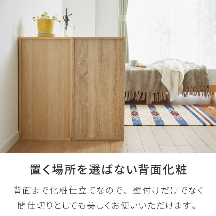 カラーボックス 2段 A4 2個セット 木目 鍵付き 扉付き 幅35cm レイアウト自由自在 ダイヤル 収納 収納ボックス 整理整頓 カラーボックス2段 A4サイズ 本棚 ラック 収納ラック 鍵付きラック