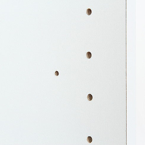 カラーボックス 可動棚 W418×D290×H890mm プリント紙化粧パーティクル おしゃれ ホワイト(代引不可)