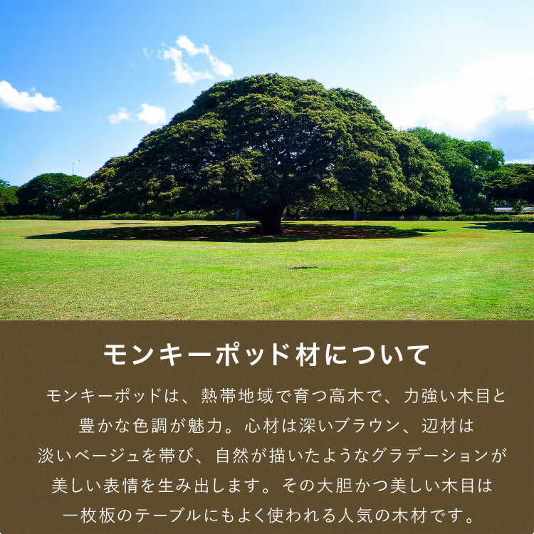 ベッドサイドテーブル サイドチェスト 幅40cm 引き出し モンキーポッド モンキーポッド材 サイドテーブル 天然木 木製 ミッドセンチュリー レトロ モダン 北欧 北欧モダン ヴィンテージ(代引不可)