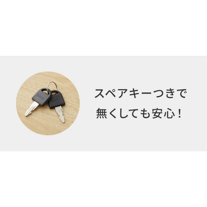 カラーボックス 3段 A4 2個セット 木目 鍵付き 扉付き 幅35cm レイアウト自由自在 収納 収納ボックス 整理整頓 カラーボックス3段 A4サイズ 本棚 ラック 収納ラック 鍵付きラック レイアウト自由