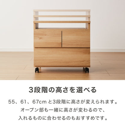 昇降式 テレビワゴン 幅60cm 55cm~67cmの昇降2段スライドレール キャスター付き 完成品