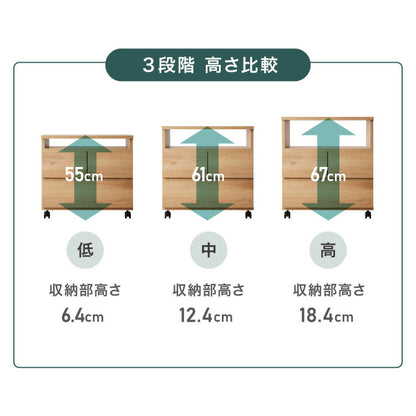 昇降式 テレビワゴン 幅60cm 55cm~67cmの昇降2段スライドレール キャスター付き 完成品