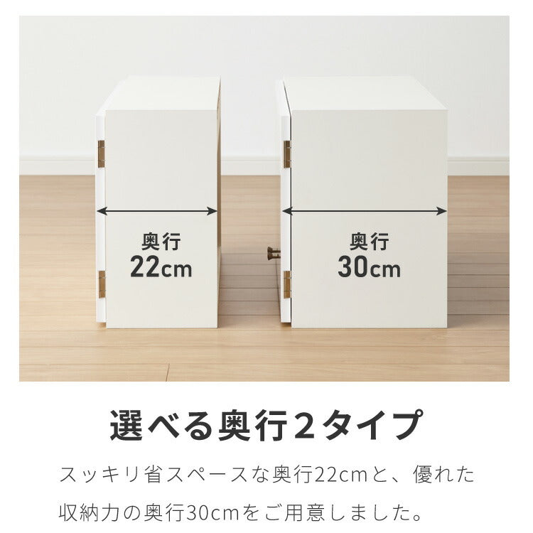選べる吊戸棚 光沢仕上げ 壁面収納 吊戸棚 幅60 奥行22 完成品 日本製
