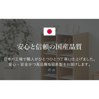 日本製 棚板が外せて洗える シューズラック シューズボックス 靴箱 幅55 奥行30cm 下駄箱 玄関収納 靴収納 靴入れ オシャレ かわいい おしゃれ 人気 シューズBOX 収納 木製 家具(代引不可)