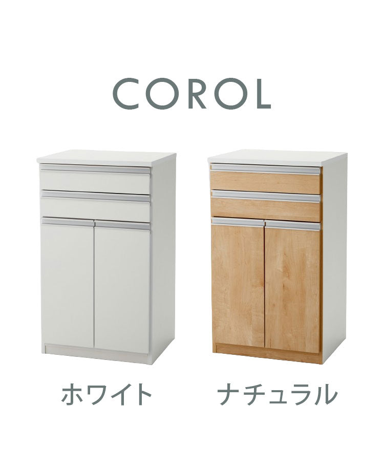 ゴミ箱 隠す収納 キッチンカウンター 2分別 蓋が自動開閉