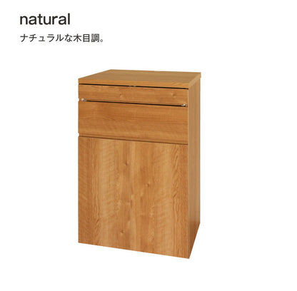 日本製 キャビネット パソコンデスク A 60cm幅 レジ台 法人注文可能  リビング収納 机 ルーター収納 プリンター収納 木製 おしゃれ 木目調 大容量(代引不可)