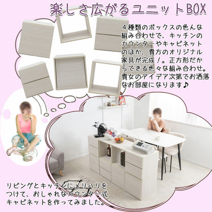 WW ダブルキューブボックス 扉タイプ 白 木製 ディスプレイ棚 飾り棚 収納ボックス ラック 台 収納ラック レコード収納 LP A4ファイル 雑誌 本 マガジン おしゃれ クローゼット(代引不可)