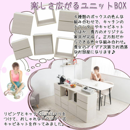 WW ダブルキューブボックス LPレコードタイプ 白 木製 ディスプレイ棚 飾り棚 収納ボックス ラック 台 収納ラック レコード収納 A4ファイル 雑誌 本 マガジン おしゃれ クローゼット上(代引不可)