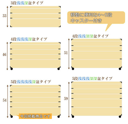 キャスター付き桐衣装箱 5段 高さ54cm 隅金具付 桐ケース 衣装ケース 押入れ クローゼット 桐たんす 保管庫 保管ケース 着物 衣類収納 洋服 浴衣(代引不可)