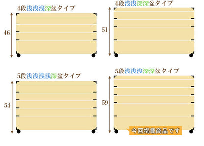 キャスター付き桐衣装箱 5段 高さ59cm 隅金具付 桐ケース 衣装ケース 押入れ クローゼット 桐たんす 保管庫 保管ケース 着物 衣類収納 洋服 浴衣(代引不可)