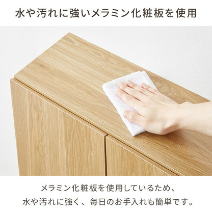 カウンター下収納 連結可能 開き戸タイプ 幅60 UC-SW60 奥行き22cm カウンター 下 開き戸 薄型 カウンター下 カウンター収納 薄型収納 ロボット掃除機 収納 キッチン 食器棚 ラック